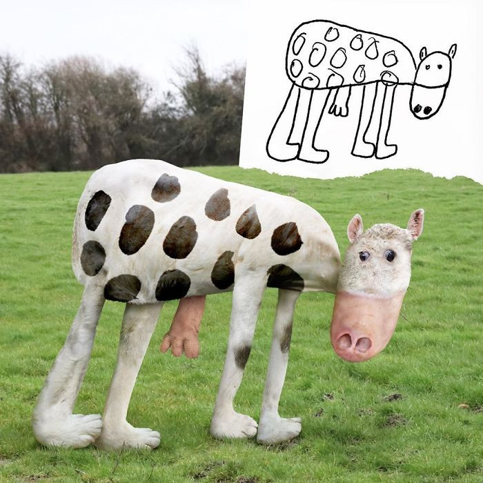 1. A cow with a droopy body and no tail