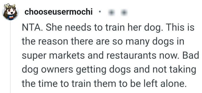 The dog should be trained