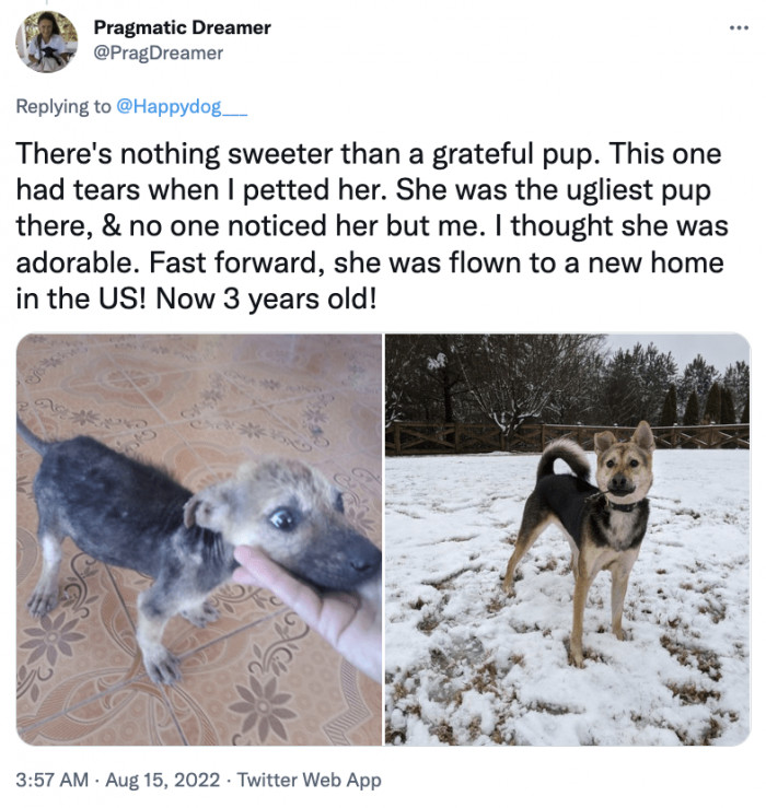 3. Can we just say that you're absolutely amazing?! She's beautiful!