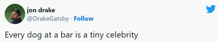 12. Only dogs can become celebrities by just being dogs.