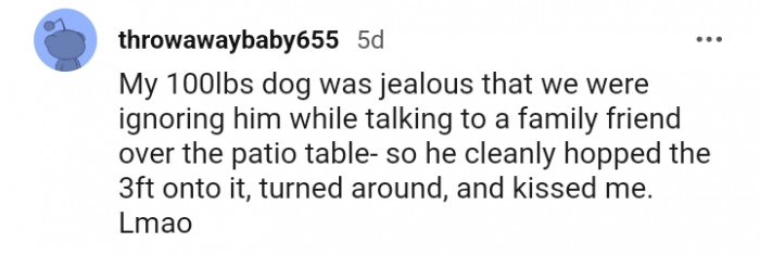2. What my dog did when he thought we were ignoring him...
