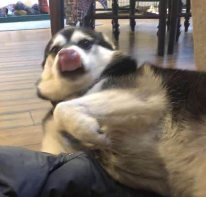 19. He breathed in while licking his nose, and his tongue got sucked into his nostrils a little bit.