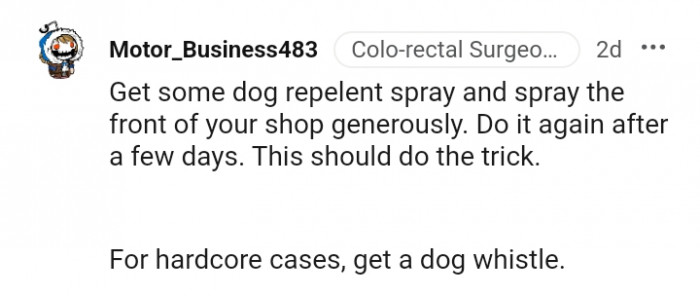 Getting some dog repellent could do the trick