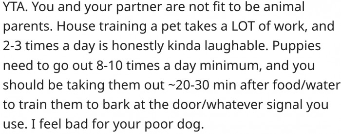 19. She and her boyfriend are not fit to own a dog.