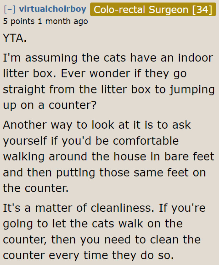 Imagine what the cats would be bringing from their litter box to the counter.