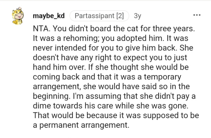 You didn't board the cat for three years