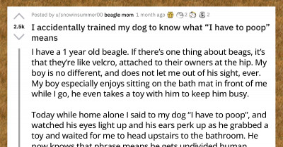 Dog Parents Worldwide Can't Stop Talking About How Their Pups Escort Them to the Bathroom