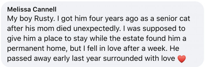 10. All about my senior boy, Rusty