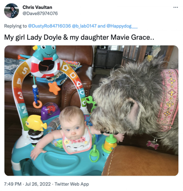 3. Doggos show their love by taking care of human babies.