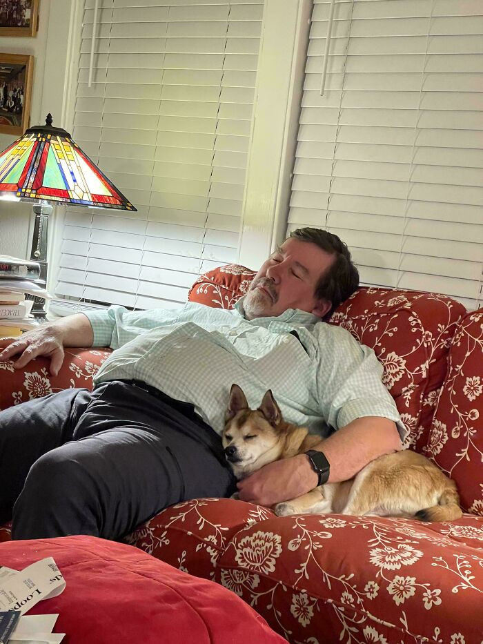 "My Dad And The Dog He “Merely Tolerates”