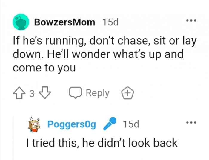 The OP tried this but the dog didn't buy it