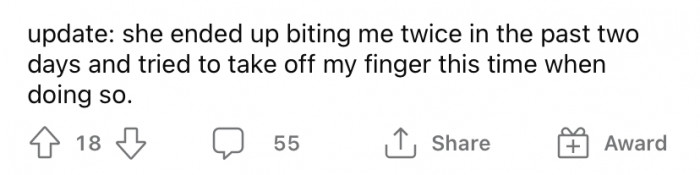 But sadly, nothing seemed to work.