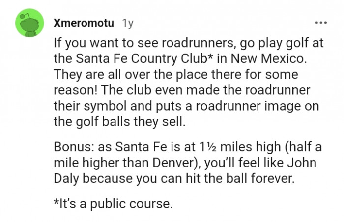 The club even made the roadrunner their symbol