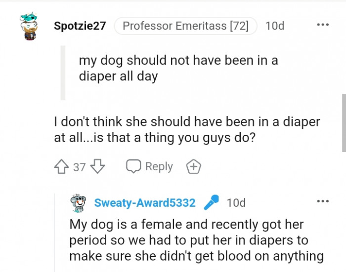 This Redditor believes the dog should not have been in a diaper at all
