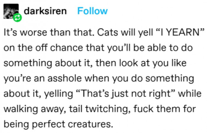 11. They expect perfection, and nothing less...