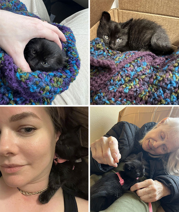 26. Amidst The Sorrow Of Impending Loss, A Chance Encounter Brings A Glimmer Of Hope As A Tiny Kitten Enters Their Lives.