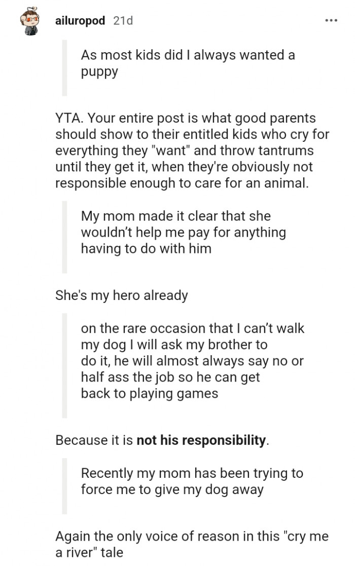 This Redditor is patiently scrutinizing every sentence