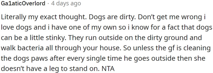 No matter how much we love them, we have to admit that dogs are dirty