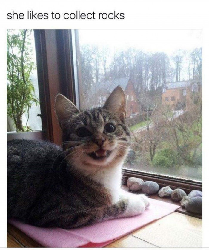 15. And she collects them with a happy face