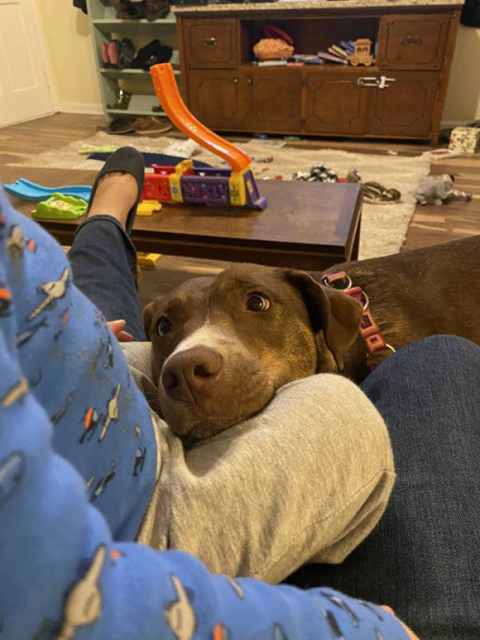 11. Just look at those eyes...