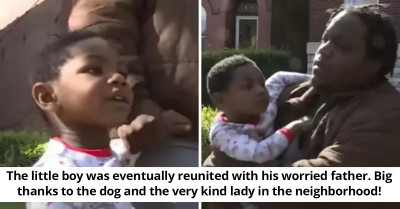 Heroic Story Of Stray Pit Bull Who Guarded A Lost Child Until He Reunited With His Family