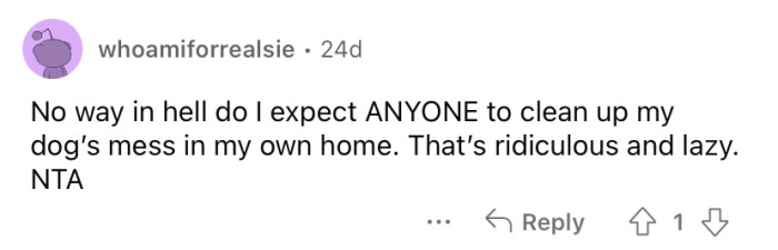 "Ridiculous and lazy."