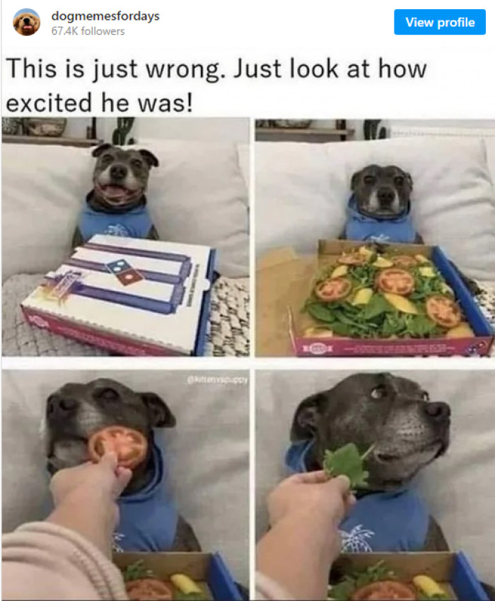 15. What's the fun of friendship without pranks? Now get over it...