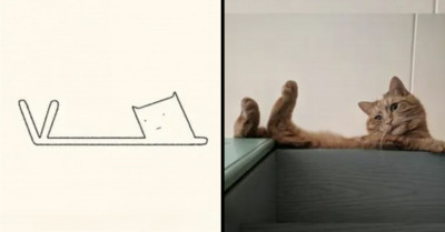 14 Illustrations Proving That Cats Are Just Cute and Funny Blobs