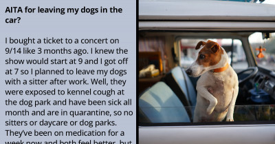 Redditor Leaves Dogs In The Car For 3 Hours To Attend A Concert
