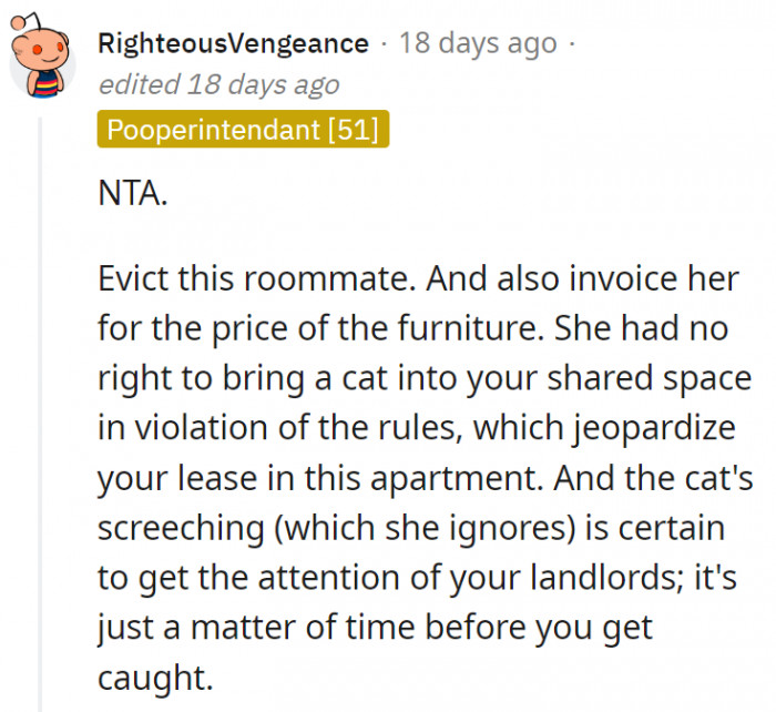 6. The roommate needs to pay for what their cat has damaged