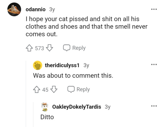 This redditor hopes the cat messed up the roommate's closet