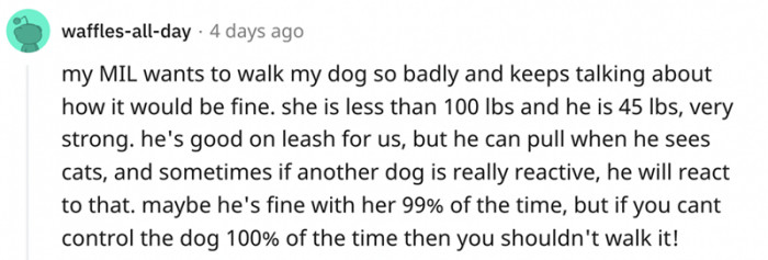 My MIL wants to walk the dog so badly...
