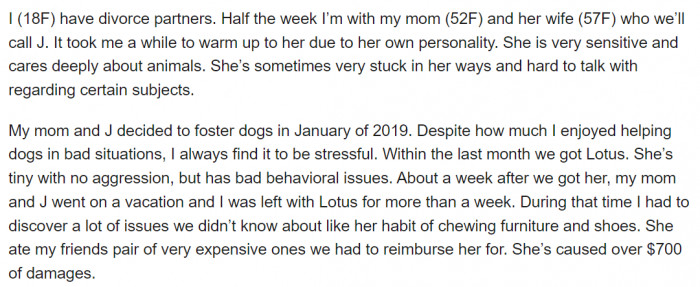 Catering to homeless dogs has always been a joy for OP, but there's no denying the stress that comes with such dedication