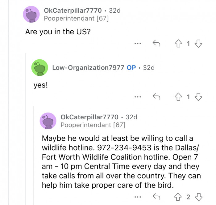 The bird needs proper care by professionals.