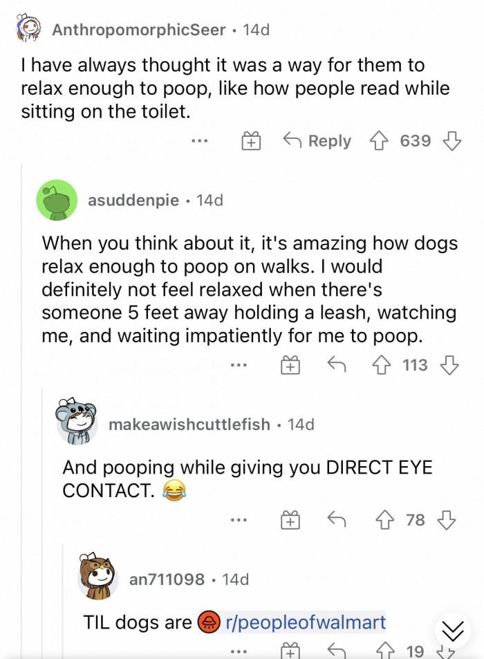 #2 You might probably wonder how they can relax while pooping.