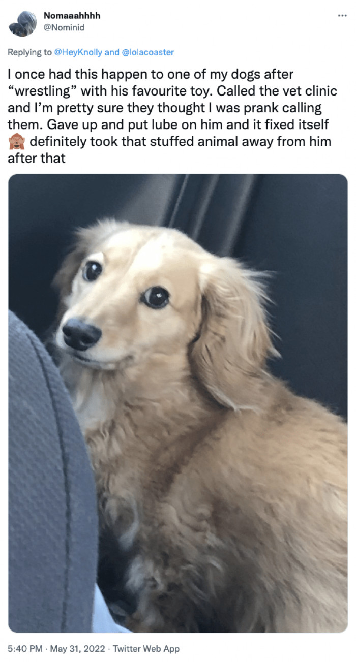 3. He Wrestled with His Favorite Toy