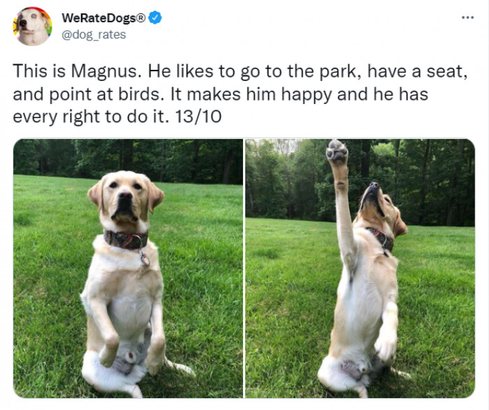 9. He enjoys nature.